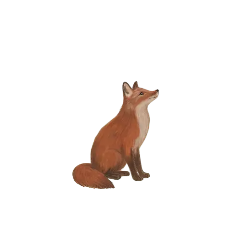 Raposa em aquarela